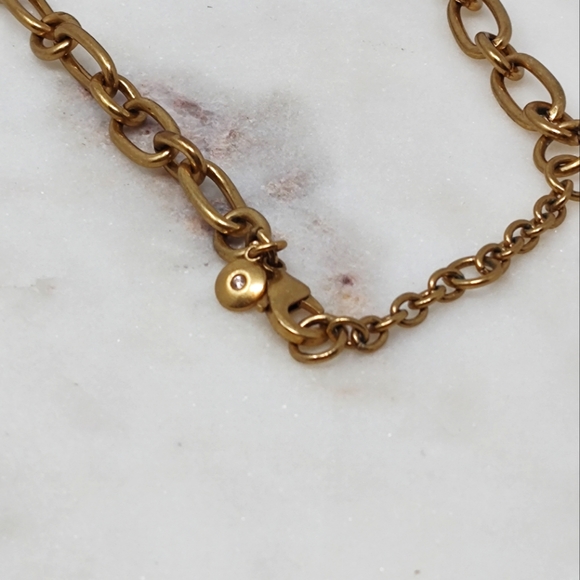 J. Crew chunky tortoiseshell print round chain link and gold tone chain necklace - Picture 10 of 11